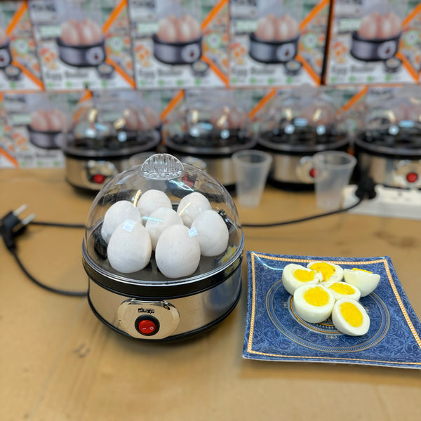 DSP Eggs Boiler - Lot Imported