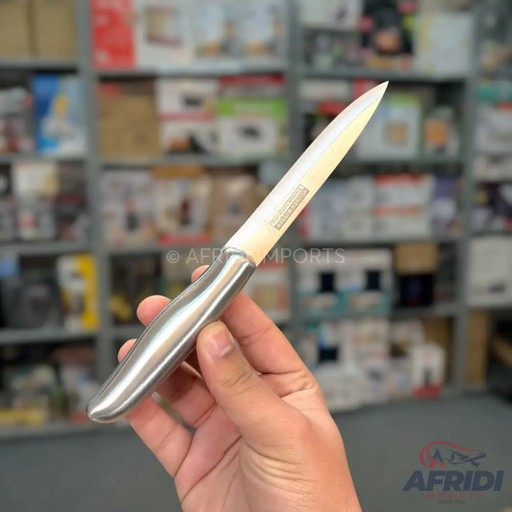 Hand holding a silver-handled paring knife with a white blade.