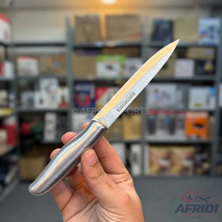 Stainless steel paring knife with a silver handle.