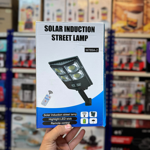 Lot Imported Solar Induction Street Lamp W789B-2