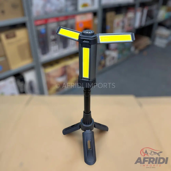 Adjustable FloodLight