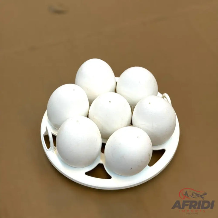 Borosil 7 Eggs Boiler