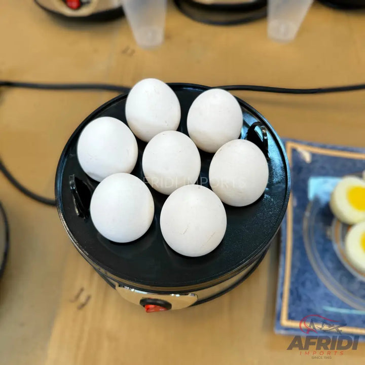 DSP Eggs Boiler Lot Imported