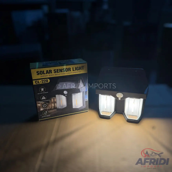 Solar sensor light with dual luminous panels.